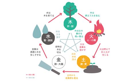 陰陽法則|陰陽五行説｜基礎知識から法則、具体例についてわか 